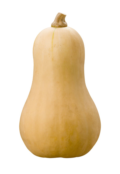 Butternut