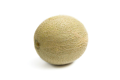 Cantaloupe