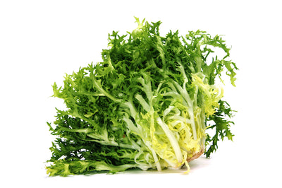 Curly Endive