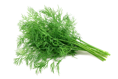 Herbs -Dill