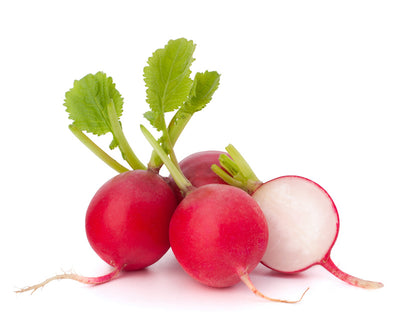Radishes