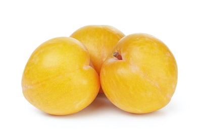 Plums (Golden)