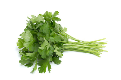 Italian Parsley
