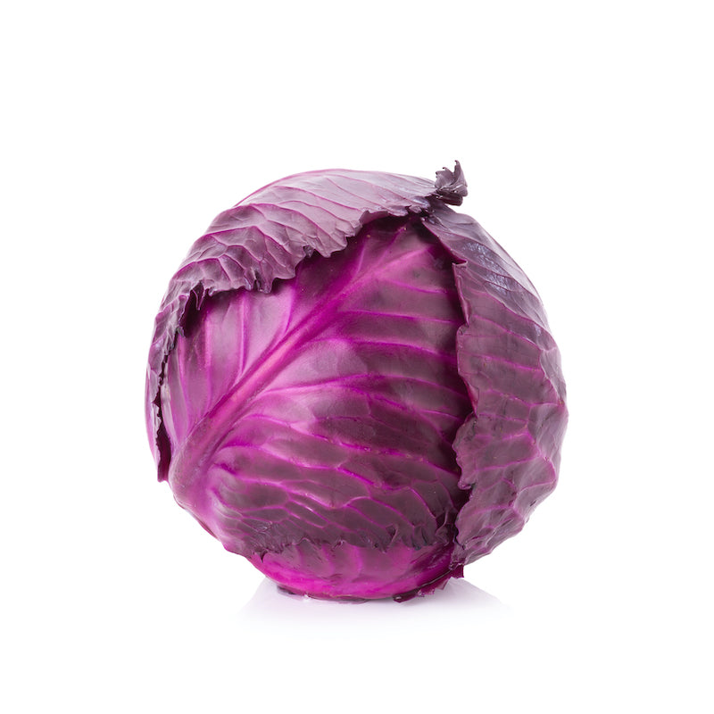 Cabbage (Red)