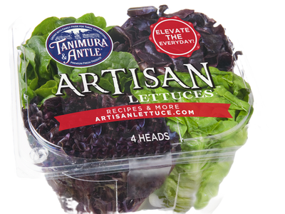 Artisan