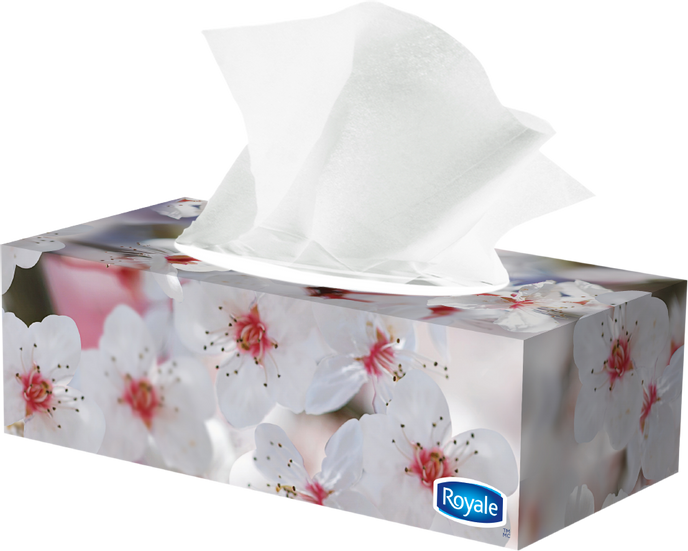 Royale 3 Ply Facial Tissues