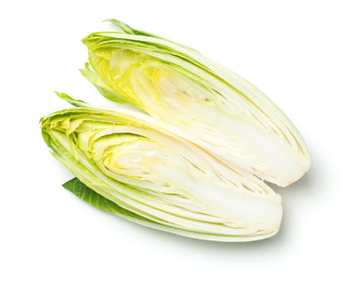 Belgian Endive