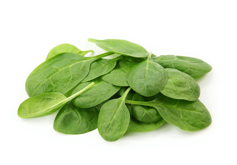 Celleo Spinach