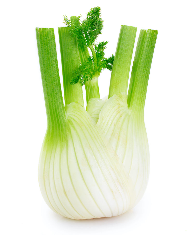 Fennel