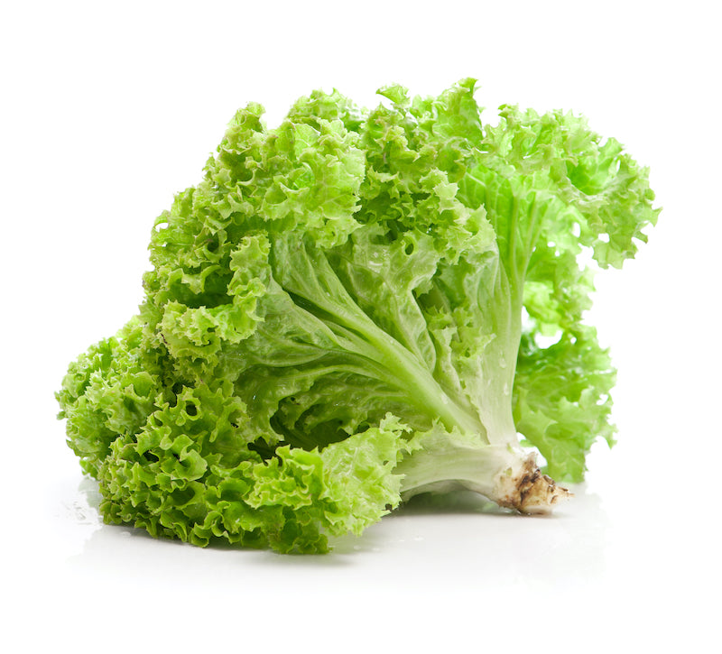 Escarole