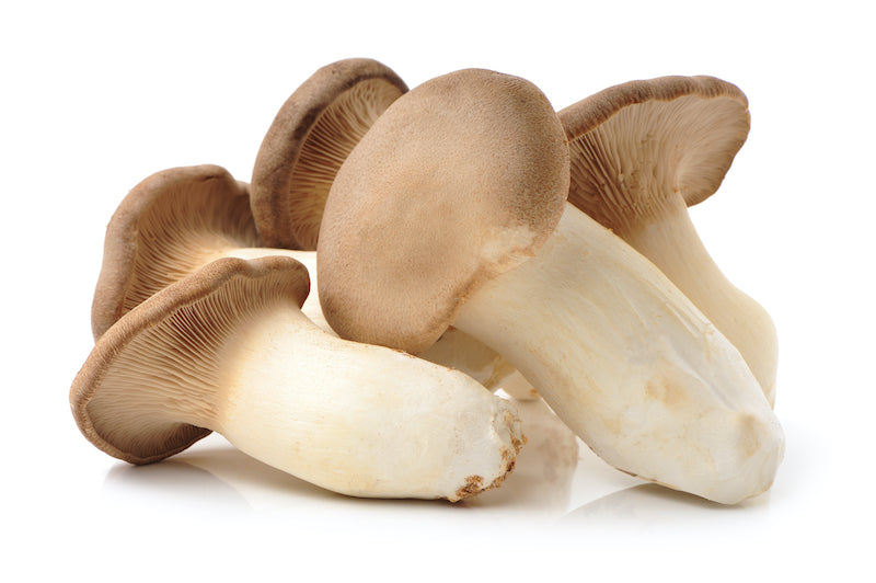 Mushrooms -King Oyster