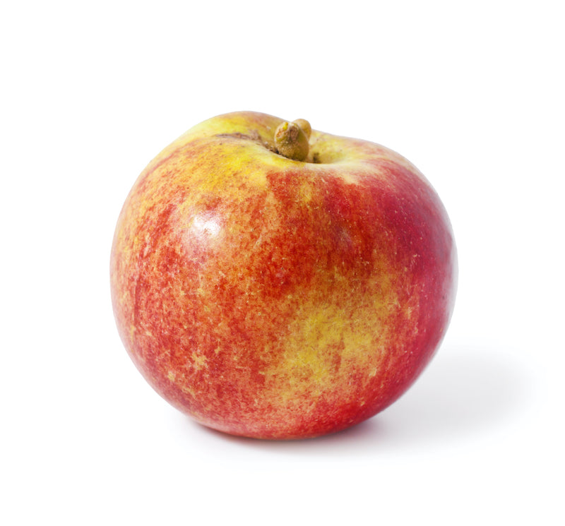 Apples - Macintosh