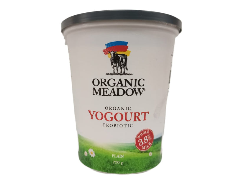 Organic Yogourt Probiotic plain 3.8% 750g