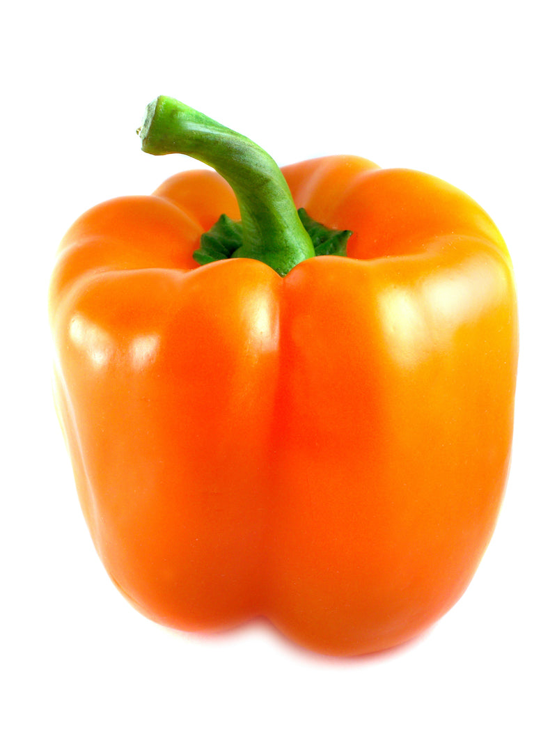 Peppers -Bell (Orange)