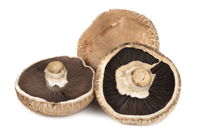 Mushrooms -Portobello