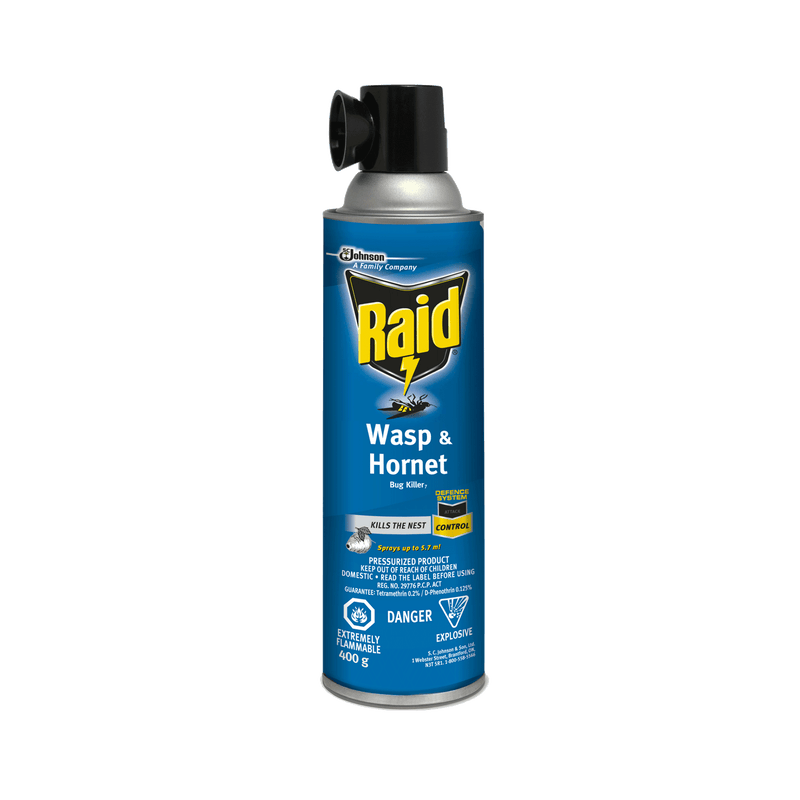 Raid Wasp & Hornet Killer, 400g