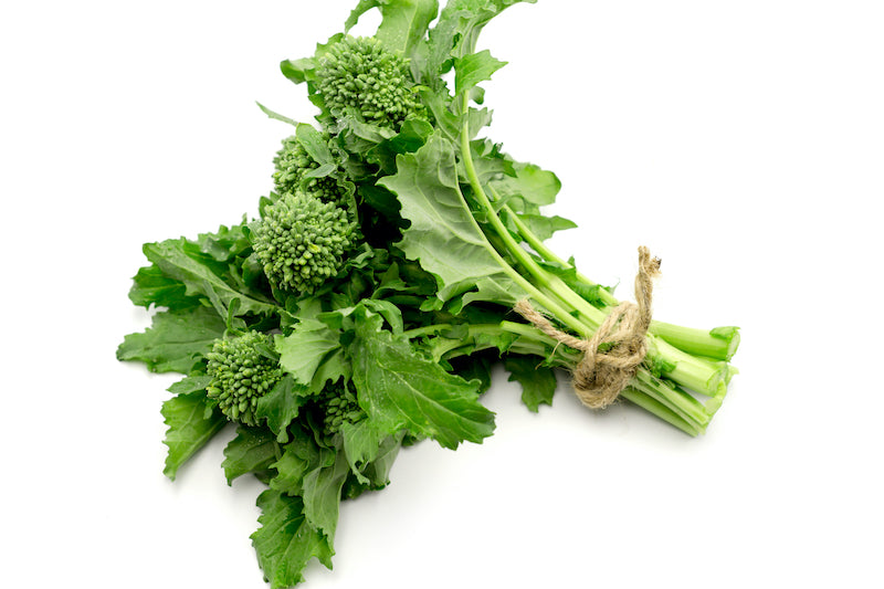 Rapini