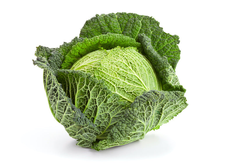 Cabbage (Savoia)