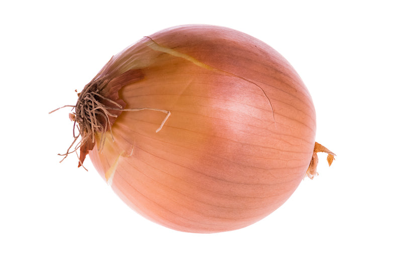 Onions -10lb large
