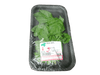 Fresh Basil